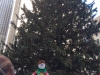 Flat Stanley