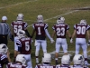 Panthers vs. Bears (November 15, 2013)