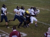 Panthers vs. Bears (November 15, 2013)