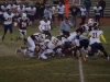 Panthers vs. Bears (November 15, 2013)