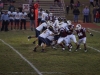Panthers vs. Bears (November 15, 2013)