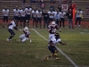 Panthers vs. Bears (November 15, 2013)