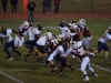 Panthers vs. Bears (November 15, 2013)