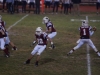 Panthers vs. Bears (November 15, 2013)