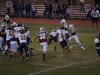 Panthers vs. Bears (November 15, 2013)