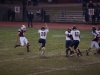 Panthers vs. Bears (November 15, 2013)