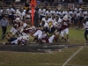 Panthers vs. Bears (November 15, 2013)