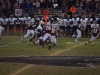 Panthers vs. Bears (November 15, 2013)