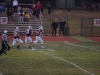 Panthers vs. Bears (November 15, 2013)