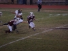 Panthers vs. Bears (November 15, 2013)