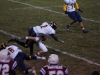 Panthers vs. Bears (November 15, 2013)