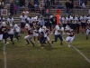Panthers vs. Bears (November 15, 2013)