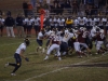 Panthers vs. Bears (November 15, 2013)