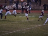 Panthers vs. Bears (November 15, 2013)