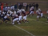 Panthers vs. Bears (November 15, 2013)