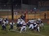 Panthers vs. Bears (November 15, 2013)