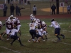 Panthers vs. Bears (November 15, 2013)