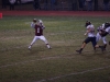Panthers vs. Bears (November 15, 2013)