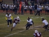 Panthers vs. Bears (November 15, 2013)