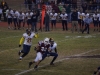 Panthers vs. Bears (November 15, 2013)