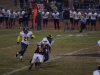 Panthers vs. Bears (November 15, 2013)