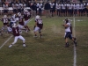 Panthers vs. Bears (November 15, 2013)
