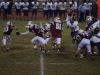 Panthers vs. Bears (November 15, 2013)
