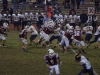 Panthers vs. Bears (November 15, 2013)