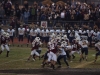 Panthers vs. Bears (November 15, 2013)