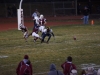 Panthers vs. Bears (November 15, 2013)