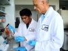 Nathaniel Bayot injecting macrophages into protein sample.