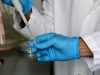 Nathaniel Bayot injecting macrophages into protein sample.