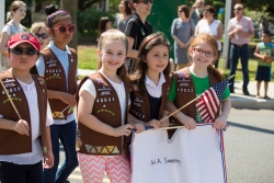 The Brownies