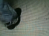 photo7